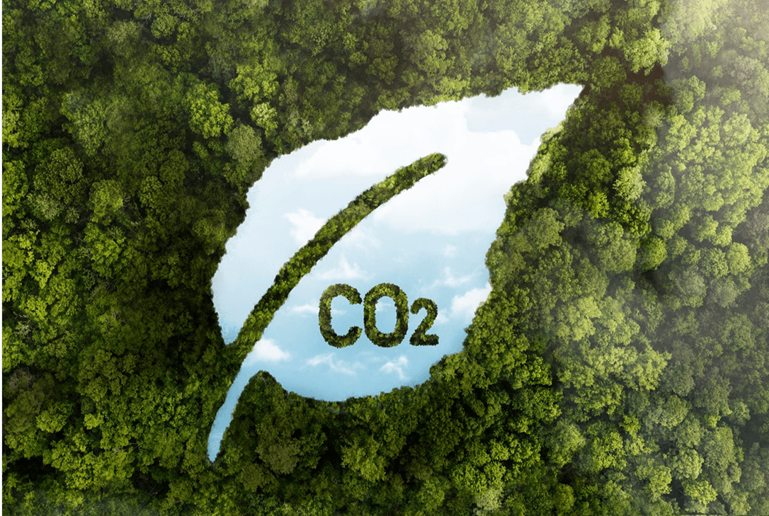 Understanding Greenwashing and Its Consequences.